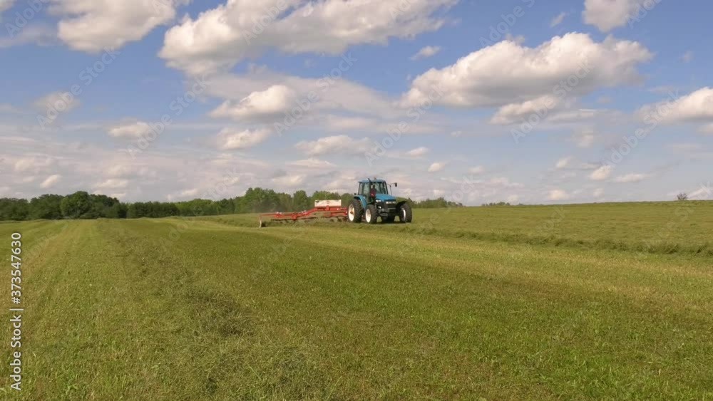 Raking hay on a late summer day agricultural harvest Raking hay on a late summer day agricultural harvest