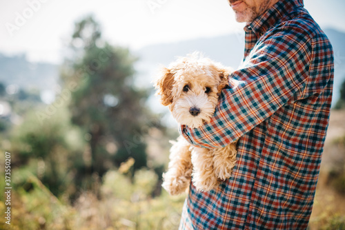 mini golden doodle in dad's arm photo