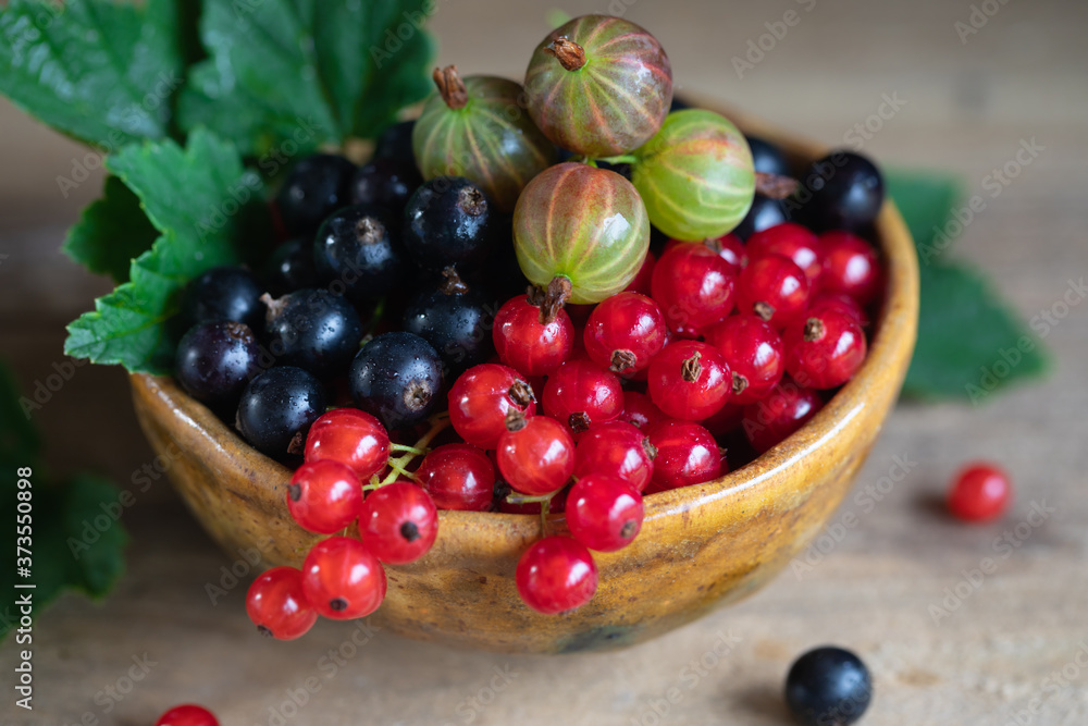 Red and black currant, gooseberry in ceramic bowl on a wooden background Red and black currant, gooseberry in ceramic bowl on a wooden background