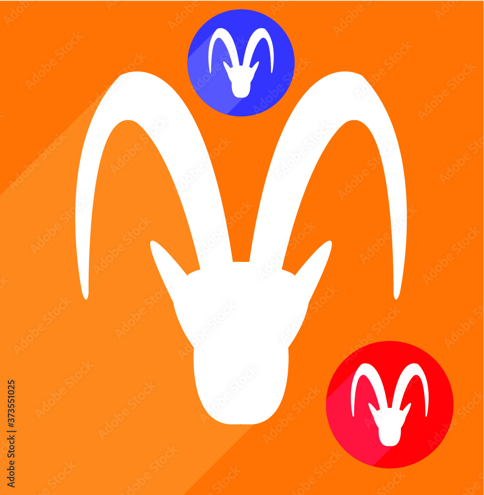 Obraz premium Goat head, face