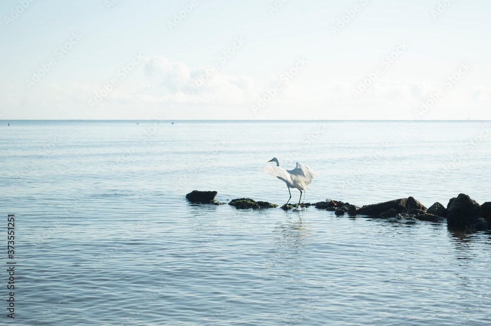 Fototapeta premium tourism, beach, vacation, Guatemala, Livinstong, horizon, nature, blue, turquoise