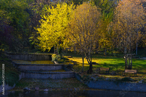 Autumn in Ankara - Botanic Park in autumn foliage - Ankara, Turkey © Orhan Çam