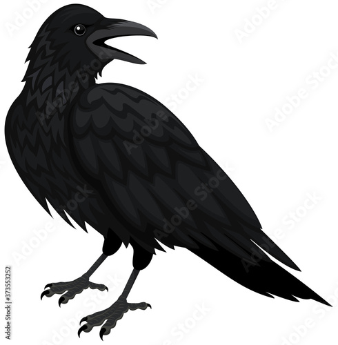 Vector illustration of a black raven (or crow) against a white background.