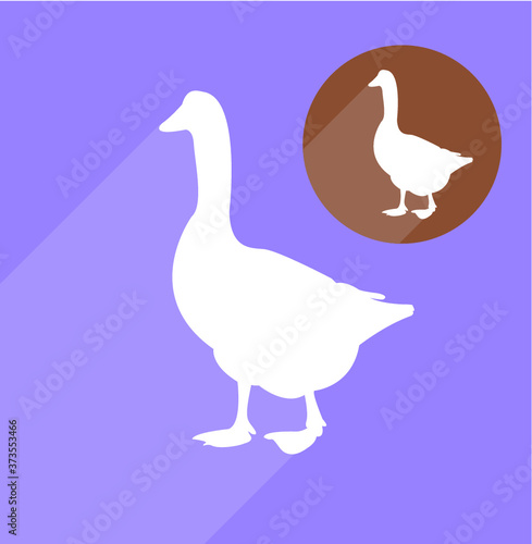 Goose