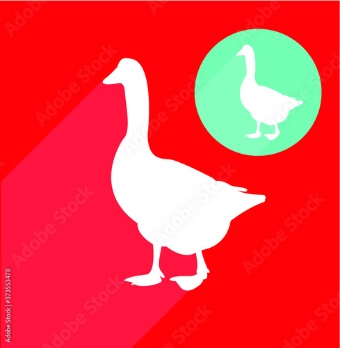 Goose