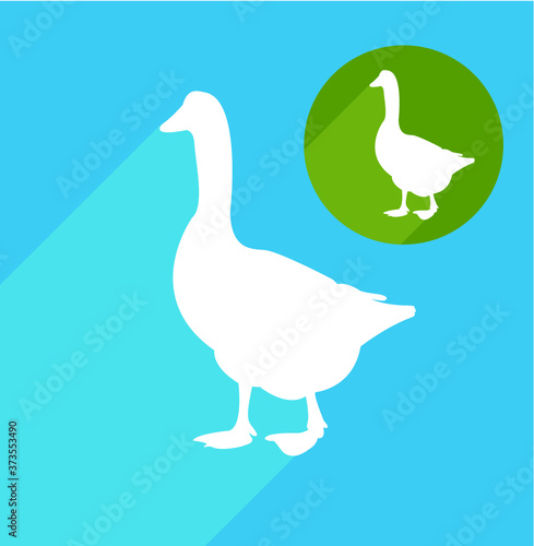 Goose