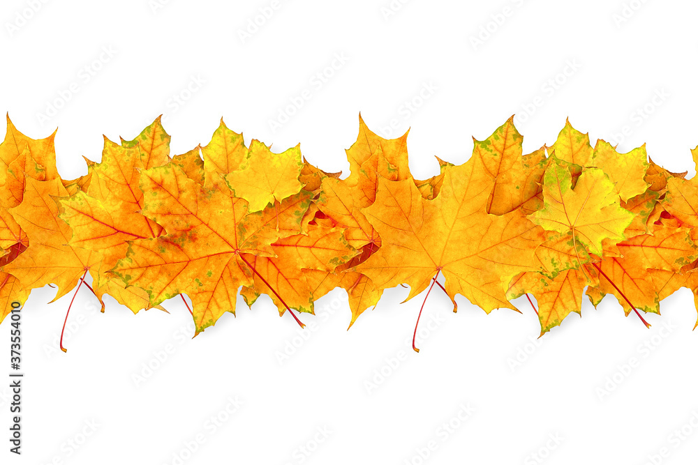 Line made by autumn leaves. Seamless Line made by autumn leaves. Seamless