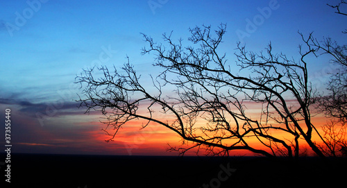 Sunrise on Tsodilo Hill photo