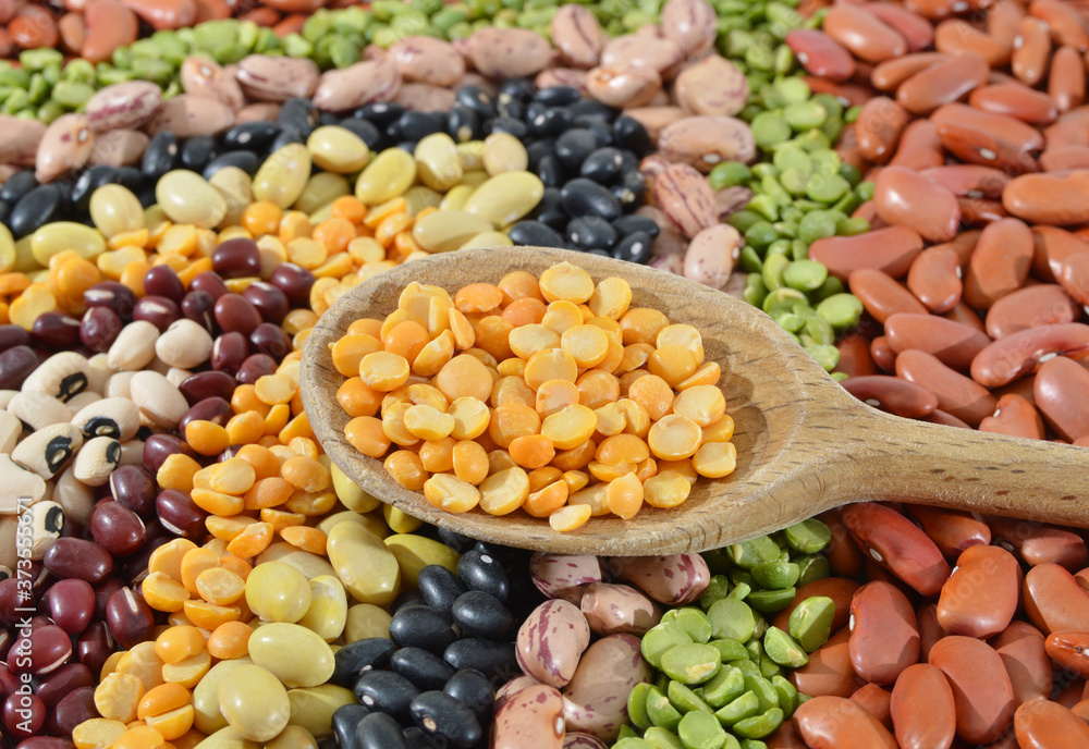 The ranks of different beans: kidney, mung, adzuki,  pile cranberry, yellow sptit peas, black eye, preto. View from above.