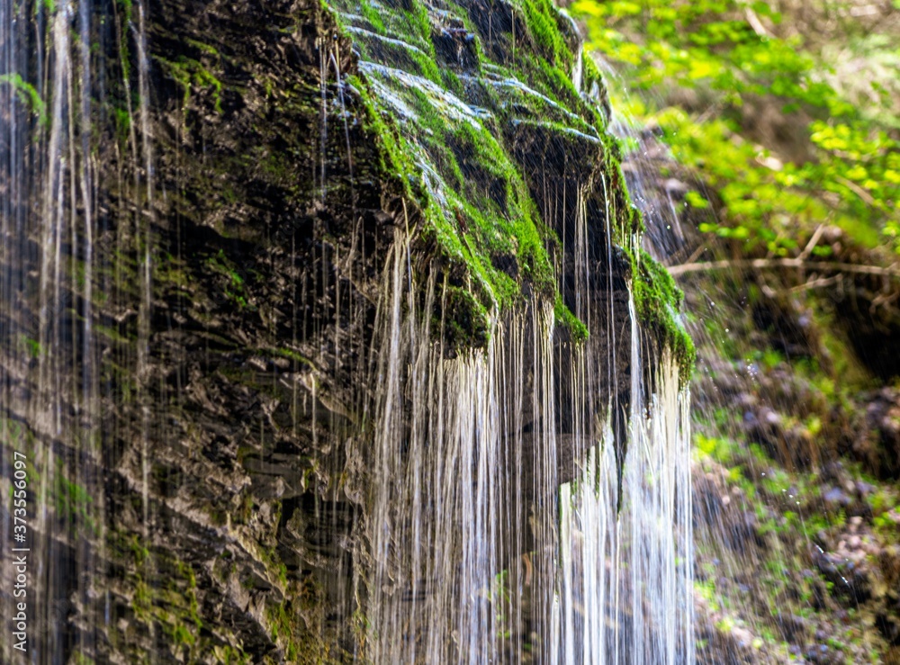 Obraz premium small waterfall in the forest