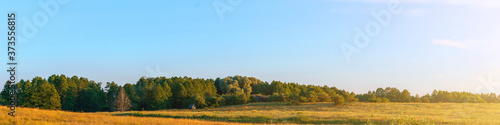 bright panoramic country side landscape view with field and blue sky