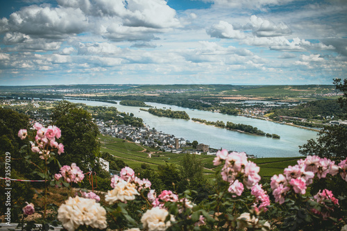 Fototapeta Naklejka Na Ścianę i Meble -  Blick über Rüdesheim
