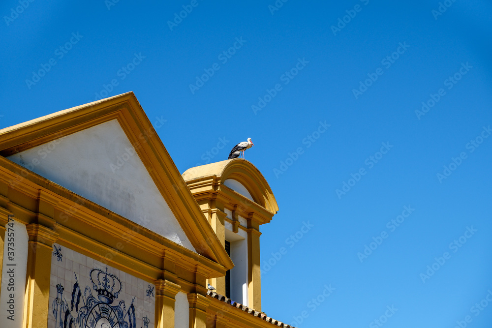 Stork sits atop a building at the Royal Andalusian School of Equestrian Arts