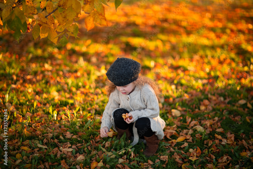 Young girl sitting on the autumn glade and taking autumn leaves. Copy space. Young girl sitting on the autumn glade and taking autumn leaves. Copy space.