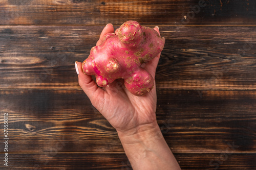 Womans hand holds trendy ugly organic potato from home garden on on a wooden background, unnormal vegetable or food waste concept, copy space photo