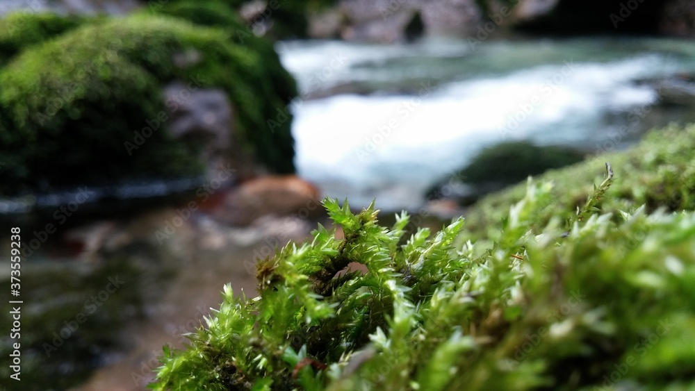 Waldbach Waldbach