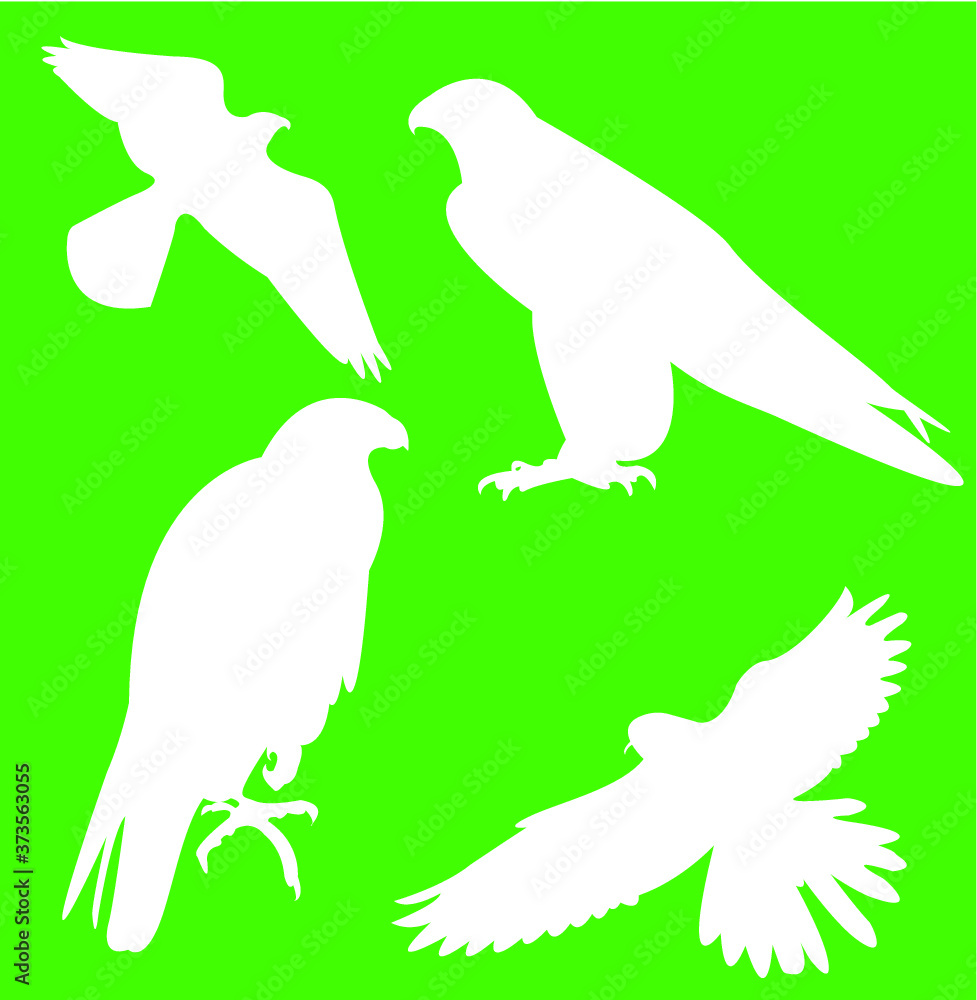 Falcon silhouette Falcon silhouette