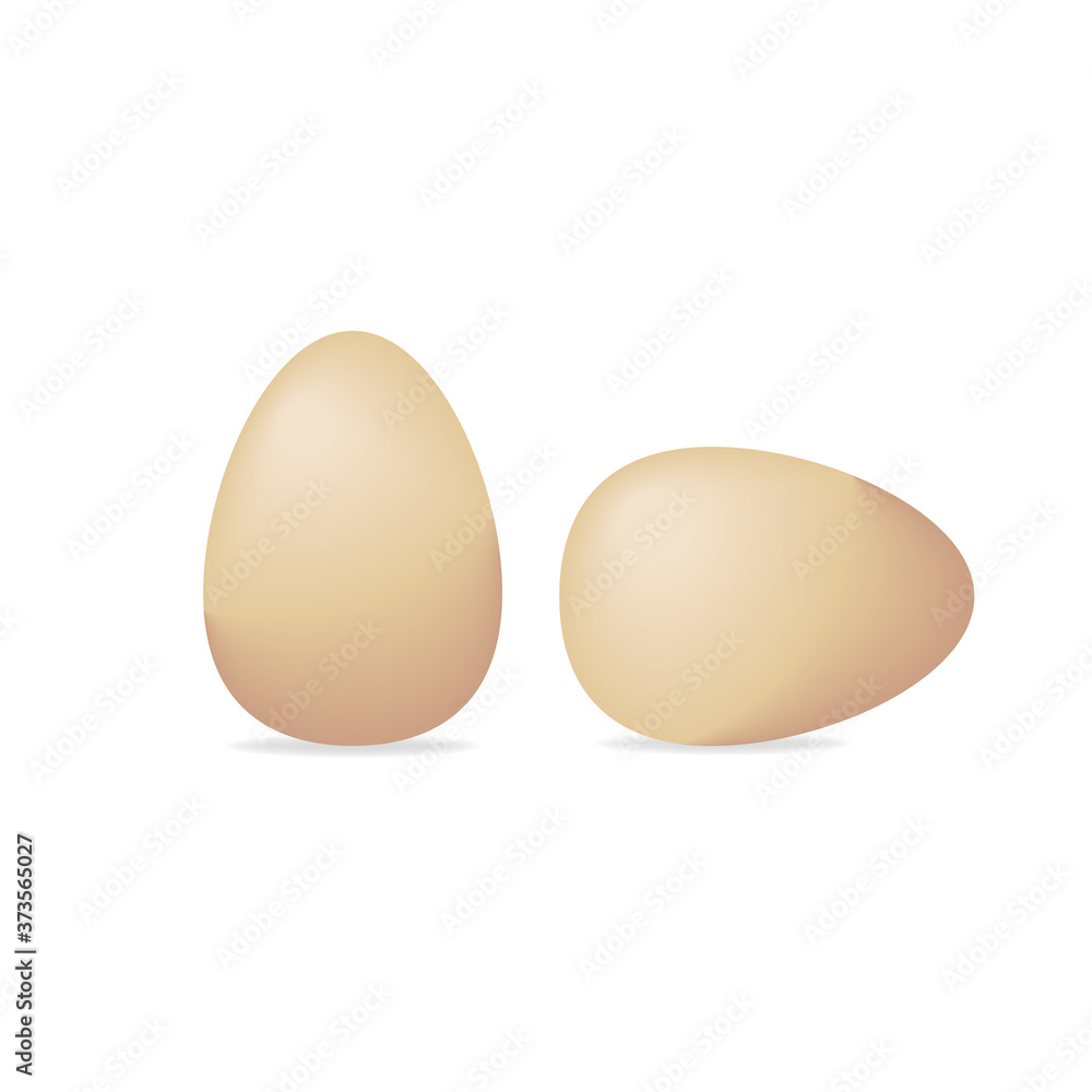 Chicken egg isolated, Realistic animal egg on clean background, Vector illustration. Chicken egg isolated, Realistic animal egg on clean background, Vector illustration.