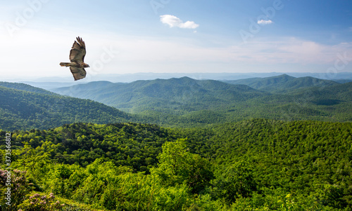 Blue Ridge Mountain Overlook