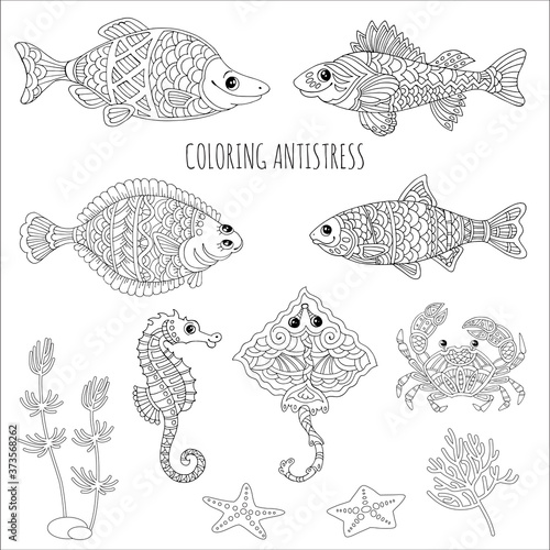 Coloring antistress for adults and children. Funny sea fish and animals. Crab, sea fox, seahorse, perch, tuna.