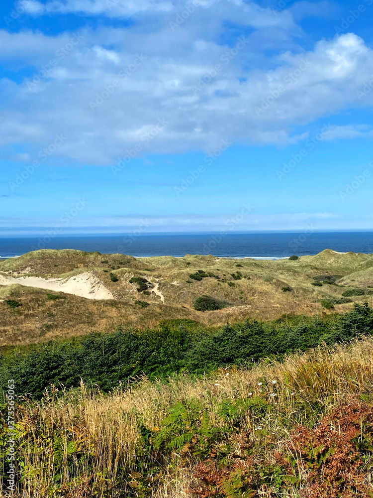 view of the coast