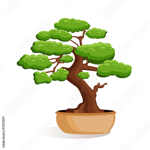 Vector illustration of bonsai tree in a pot on a white isolated background. Home miniature bonsai plant. Illustration for advertising, website, logo, banner, postcard, game, menu, application.