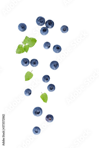 Fresh blueberry with mint leaves flying isolated on white background