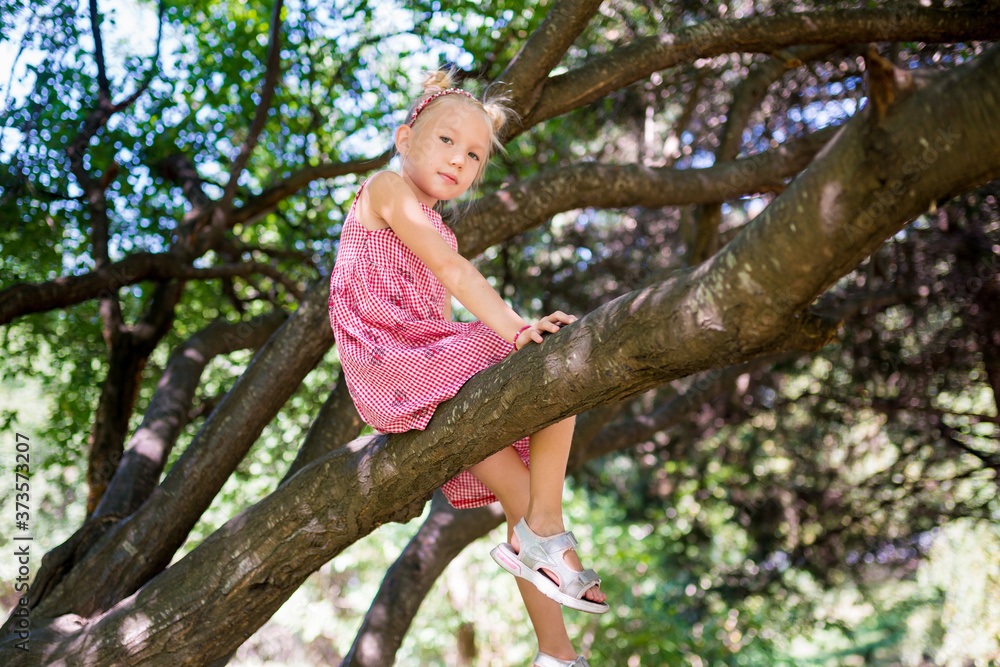 Cute girl climbing a tree. Children having fun in the forest on a sunny summer day. Active family leisure weekend lifestyle. Local getaway with kids. Cute girl climbing a tree. Children having fun in the forest on a sunny summer day. Active family leisure weekend lifestyle. Local getaway with kids.