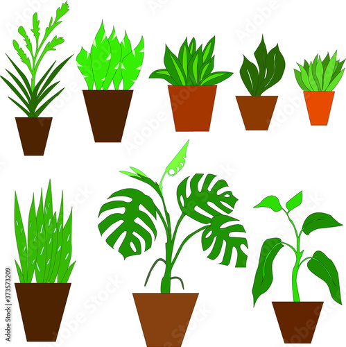 
set of color images of flowerpots and houseplants