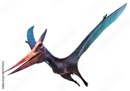 Murais de parede Pteranodon flying dinosaur 3D illustration