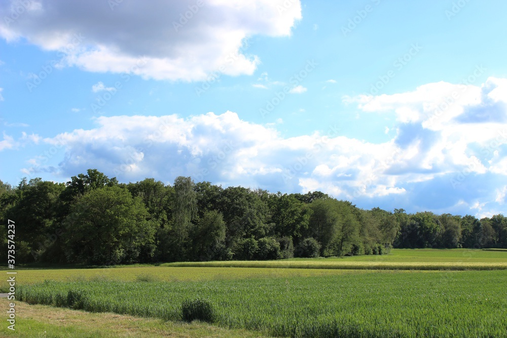 Landwirtschaft