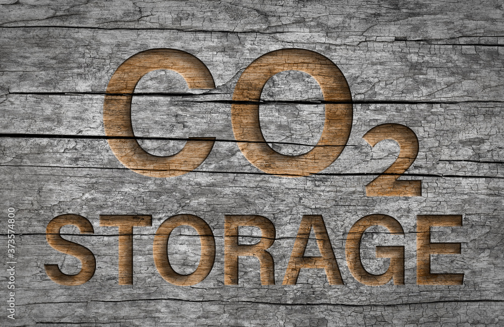 Co2 storage text in wood natural storage of carbon dioxide emission Co2 storage text in wood natural storage of carbon dioxide emission