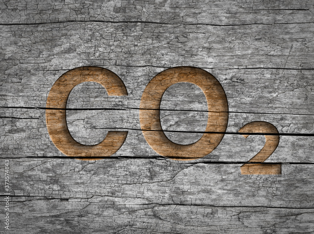 Co2 text in wood natural storage carbon dioxide emission Co2 text in wood natural storage carbon dioxide emission
