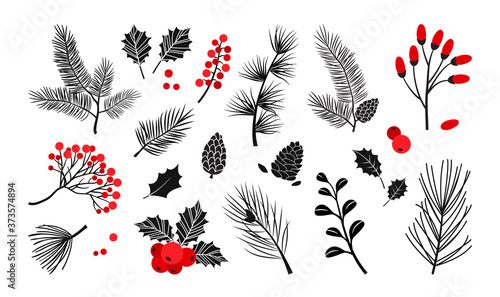 Christmas vector plants, holly berry, christmas tree, pine, leaves branches, holiday decoration, winter symbols isolated on white background. Red and black colors. Vintage nature illustration