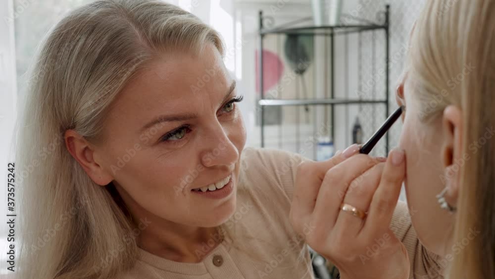 Professional make-up artist paints a girl blonde in a beauty salon. A close-up portrait Professional make-up artist paints a girl blonde in a beauty salon. A close-up portrait