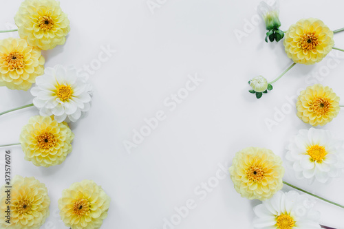 Yellow, white flowers dahlias on white background. Flowers composition. Flat lay, top view, copy space. Summer, autumn concept.