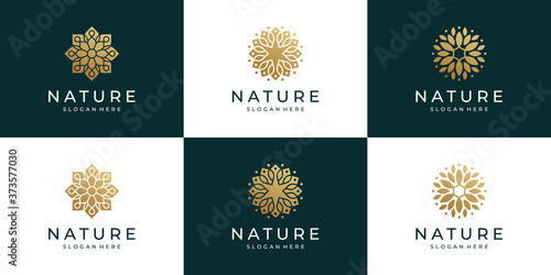 Set collection flower logo design luxury Can be used for beauty salons, decorations, boutiques, spas, yoga, cosmetic and skin care products.