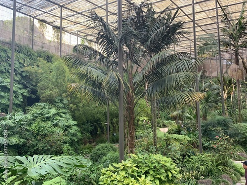 The Cold Greenhouse, Estufa Fria, is a greenhouse garden located in Parque Eduardo VII, Lisbon center, Portugal photo