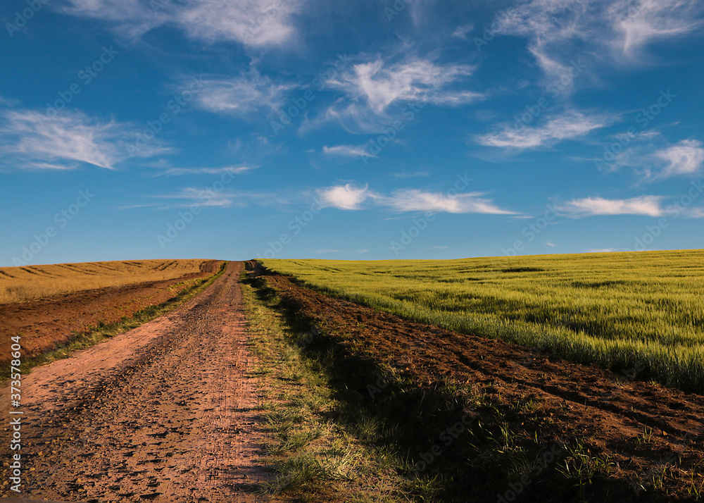 paisagem rural com estrada, campos de plantação e céu azul ao fundo paisagem rural com estrada, campos de plantação e céu azul ao fundo