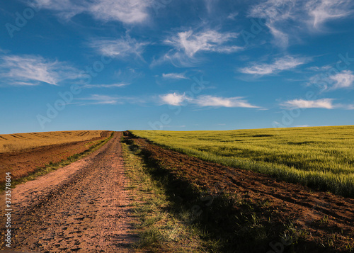 paisagem rural com estrada, campos de plantação e céu azul ao fundo