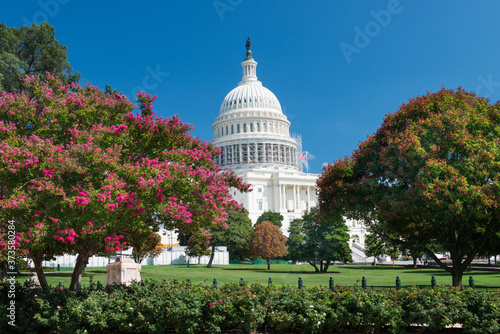U.S. Capitol Building during spring - Washington D.C. United States of America