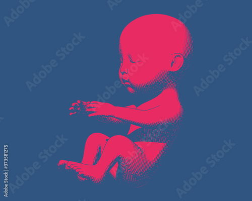 Red vintage human fetus illustration on blue BG