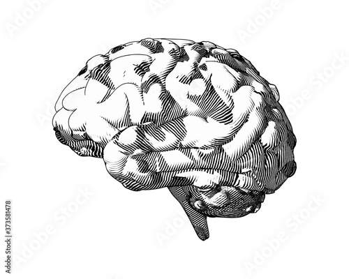 Mental illness brain drawing illustration on white BG