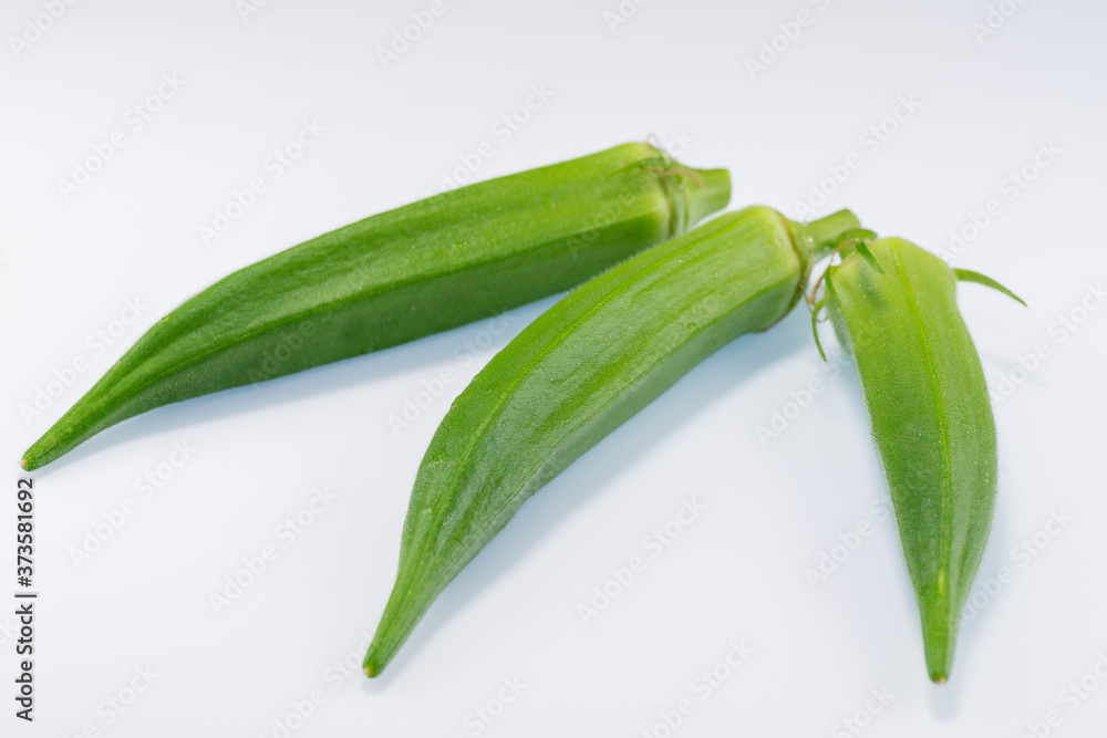 Fresh fruit of okra (Abelmoschus esculentus) just after harvest in Japan Fresh fruit of okra (Abelmoschus esculentus) just after harvest in Japan