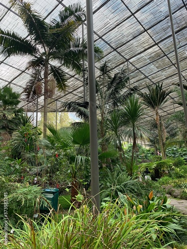 The Cold Greenhouse, Estufa Fria, is a greenhouse garden located in Parque Eduardo VII, Lisbon center, Portugal