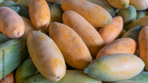 PHOTOGRAPH OF HARVESTED RIPE BANANA PASSION FRUIT