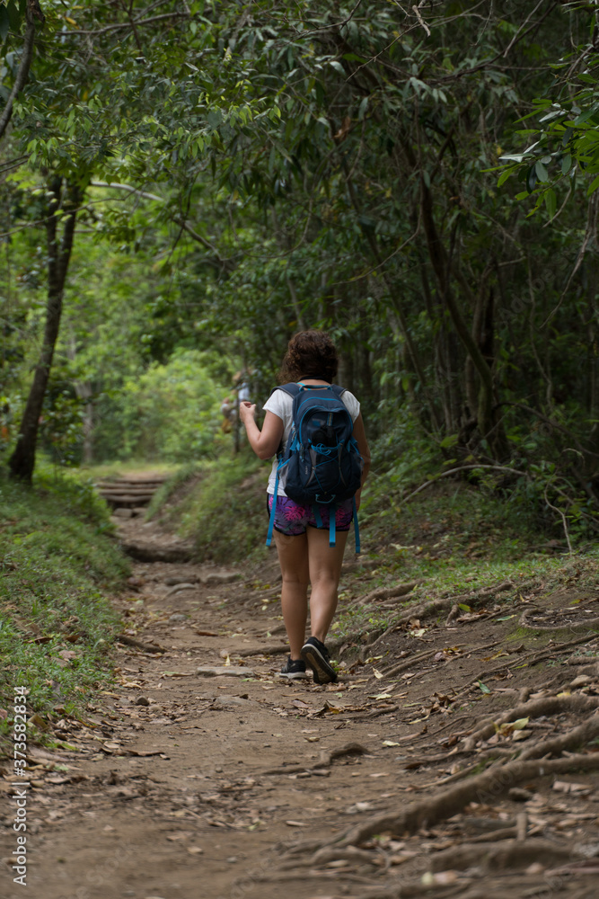 walking on the forest of Cuba