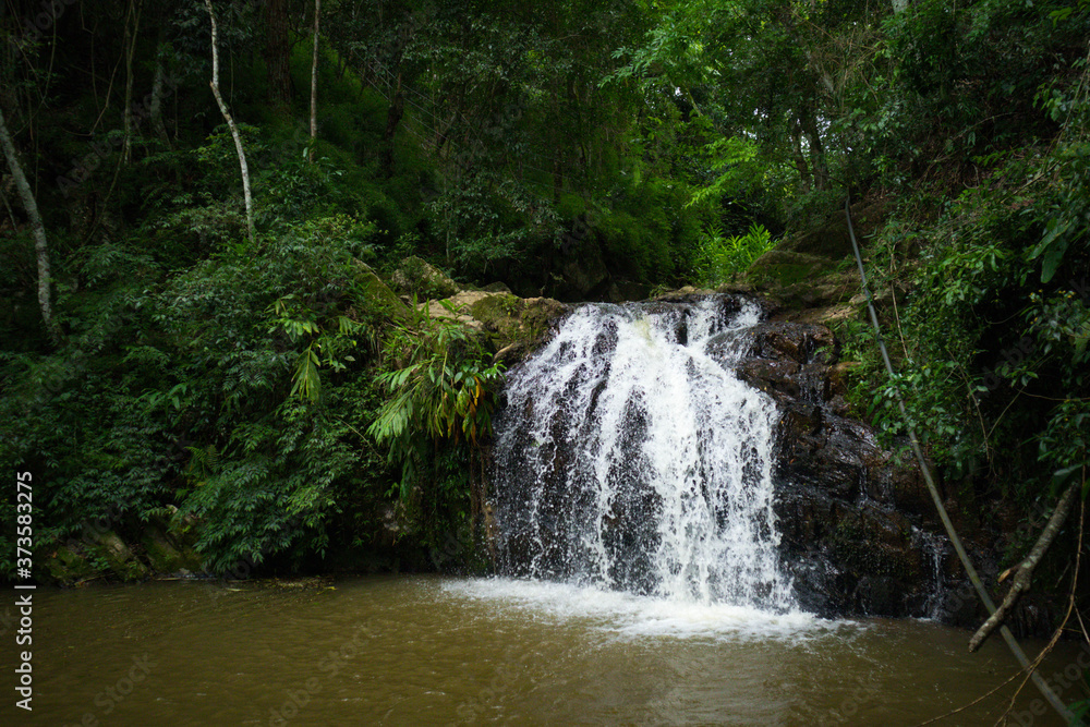 Obraz premium waterfall in the forest
