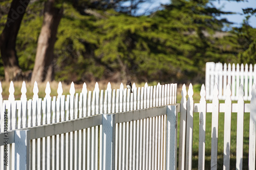 Small bird sitting on white picket fence