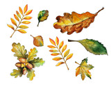 bright autumn leaves collection, watercolor hand drawing, white background isolated